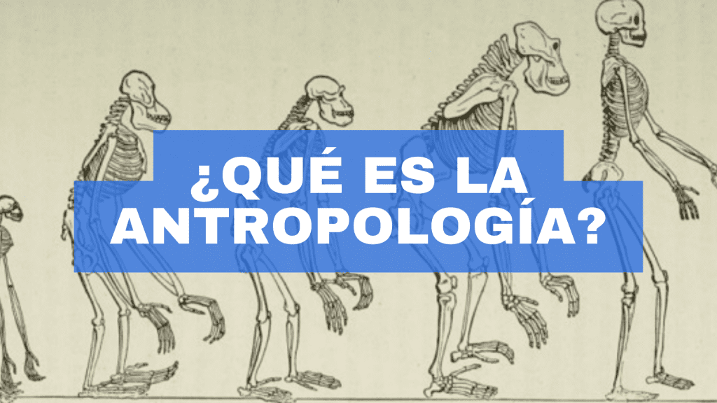 que es la antropologia