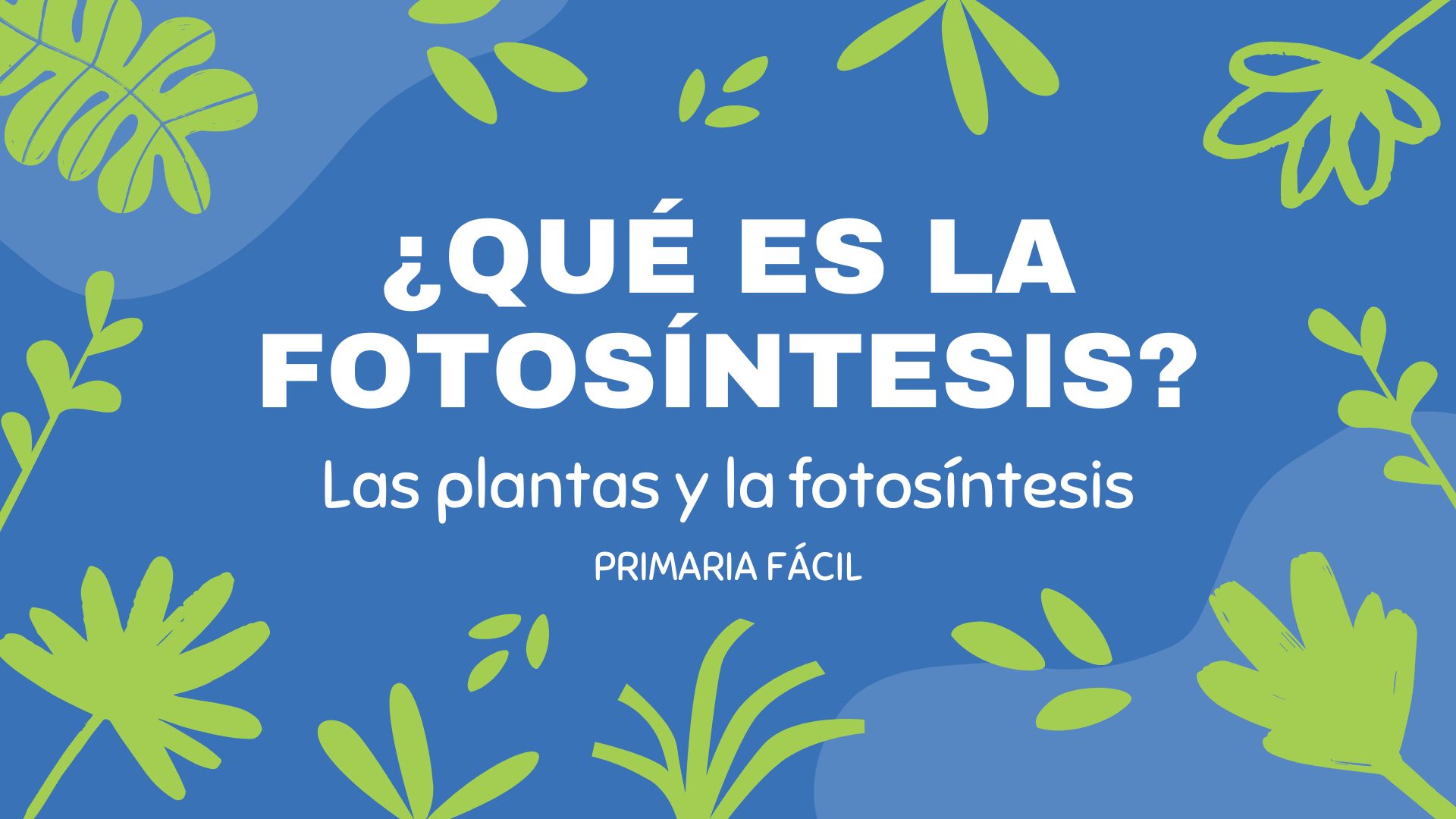 que es la fotosintesis para niños