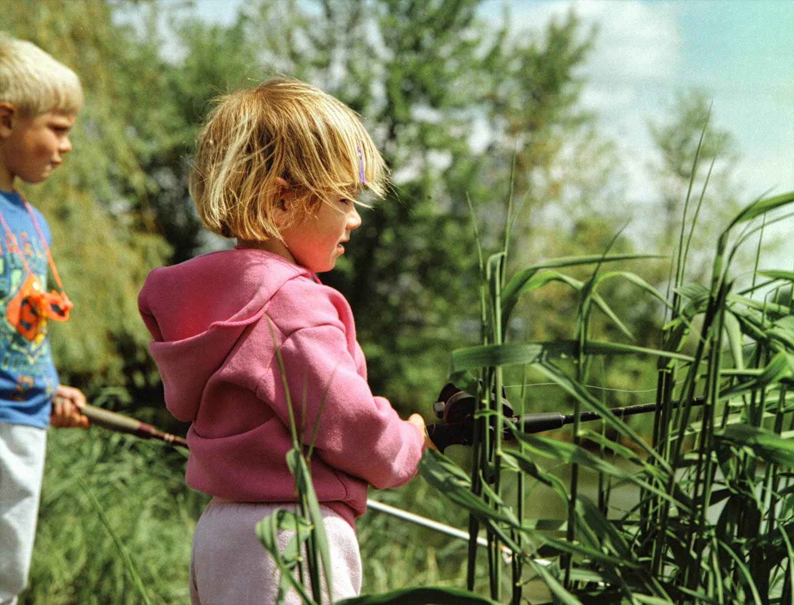 fotosintesis de las plantas