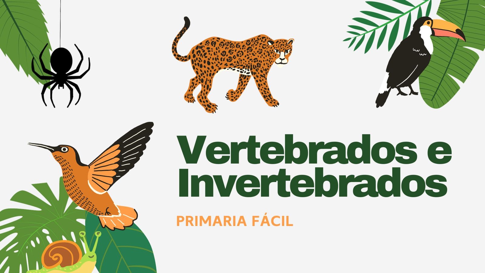 Vertebrados e Invertebrados para niños de Primaria